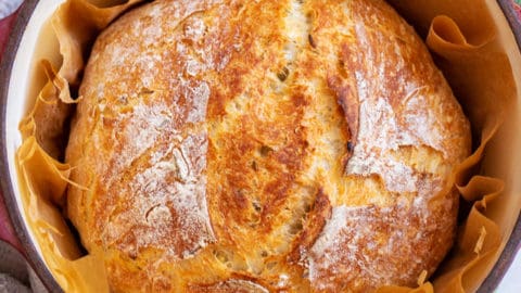 https://www.thebewitchinkitchen.com/wp-content/uploads/2020/04/rosemary-garlic-bread-recipe-480x270.jpg