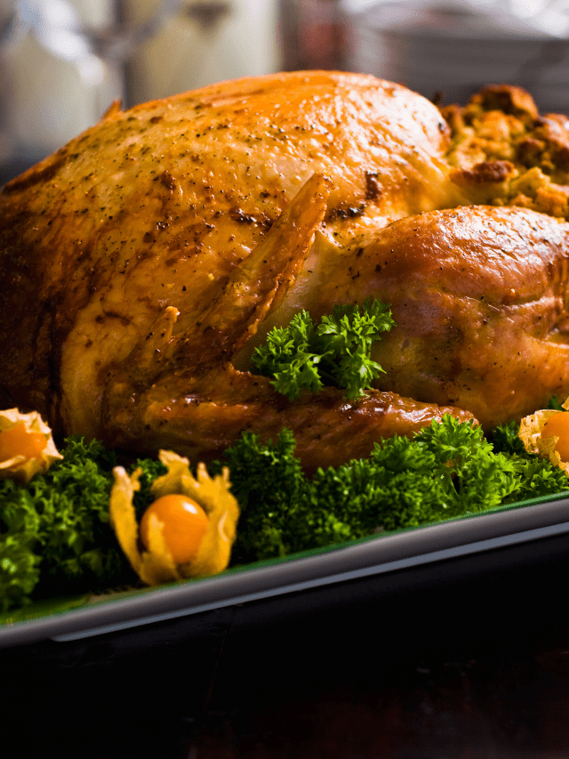 Best Oven Roasted Turkey Recipe - A Well-Seasoned Kitchen®