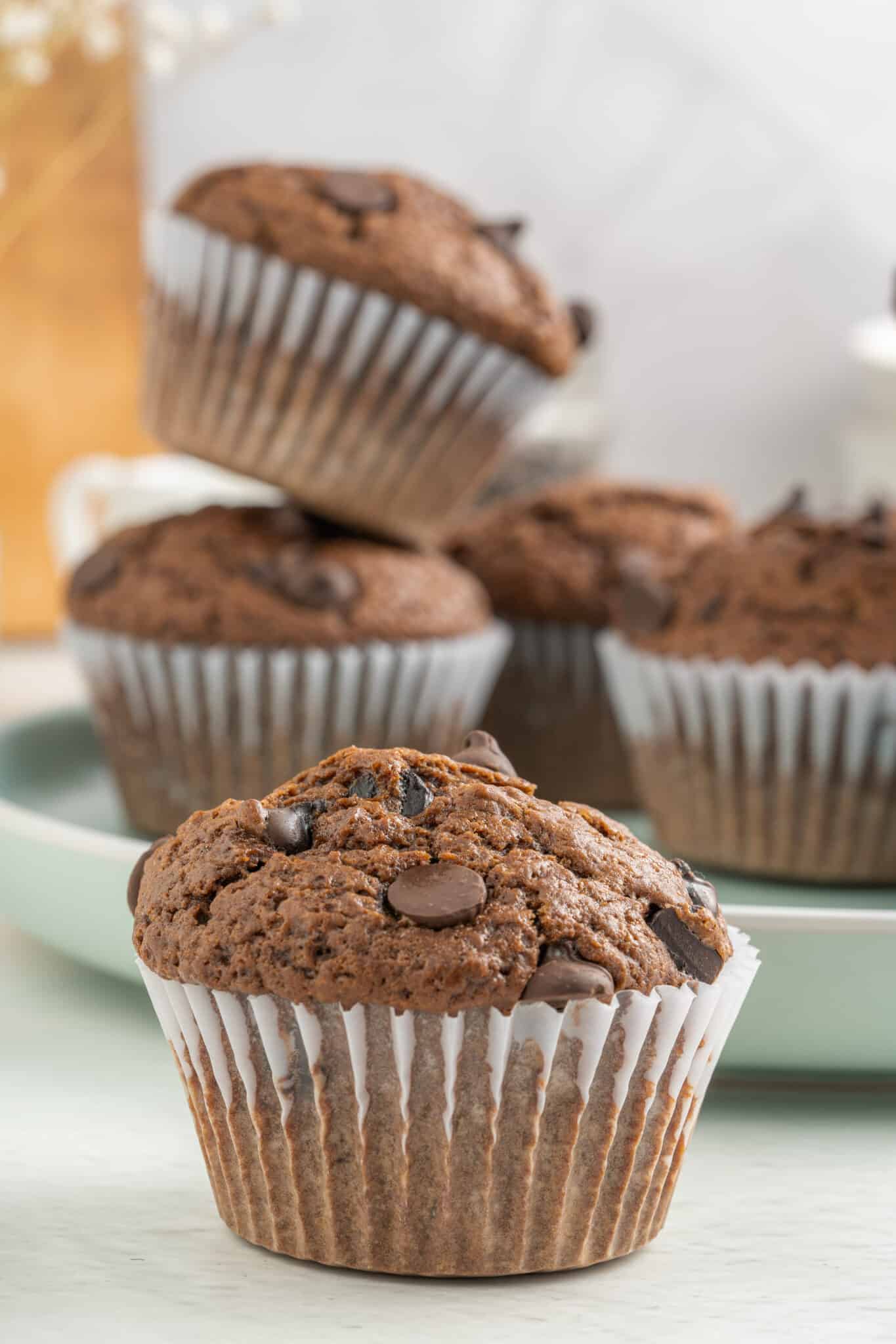 Double Chocolate Muffins | The Bewitchin' Kitchen