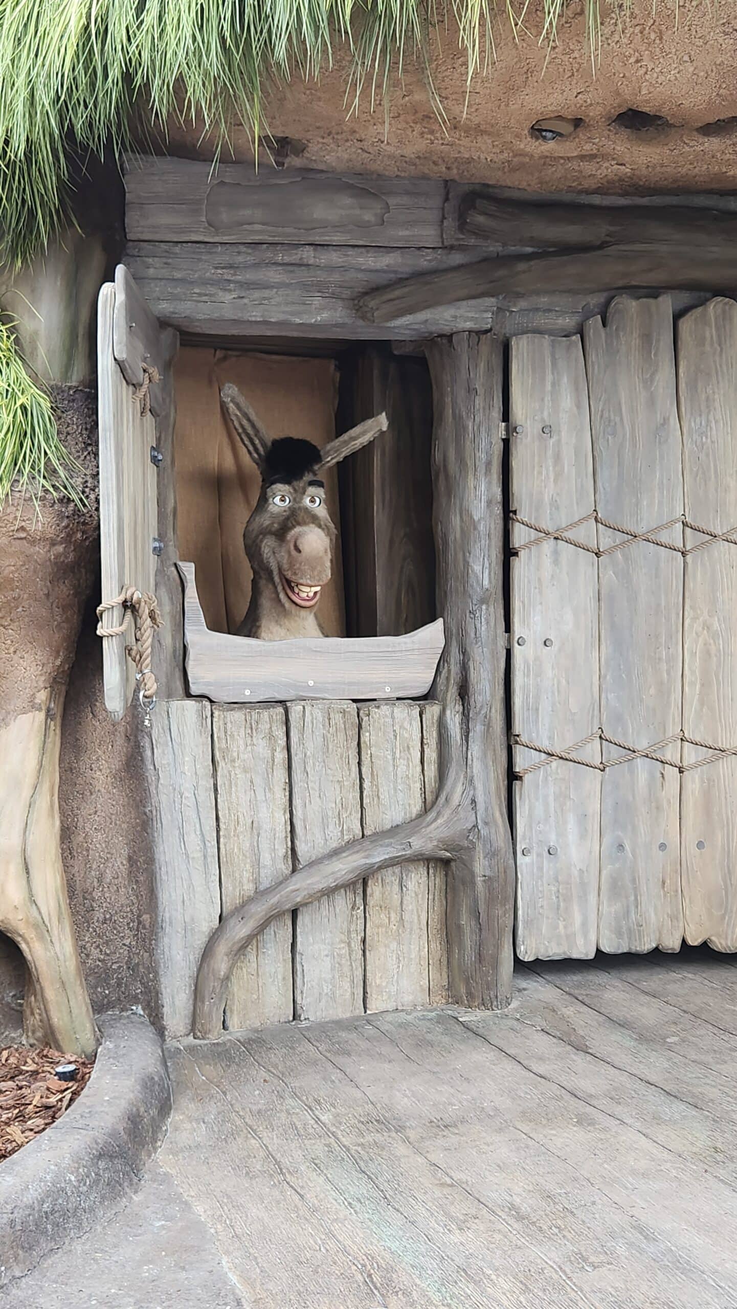 Donkey at Shrek's Swamp Meet in Dreamworks Land