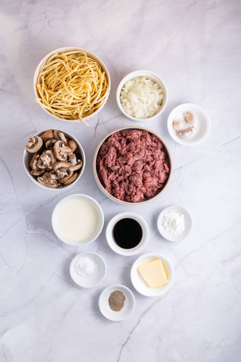 ingredients for beef stroganoff