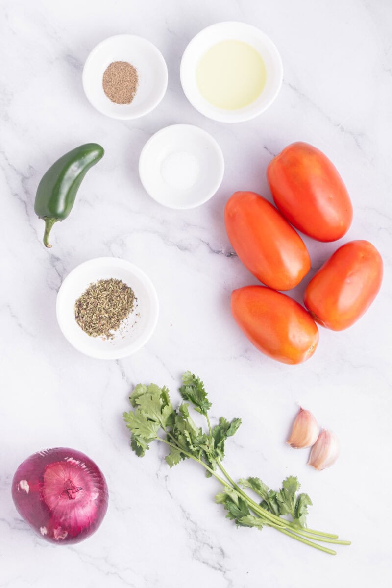 roasted tomato salsa ingredients